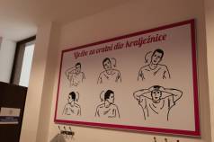 IMG 5950